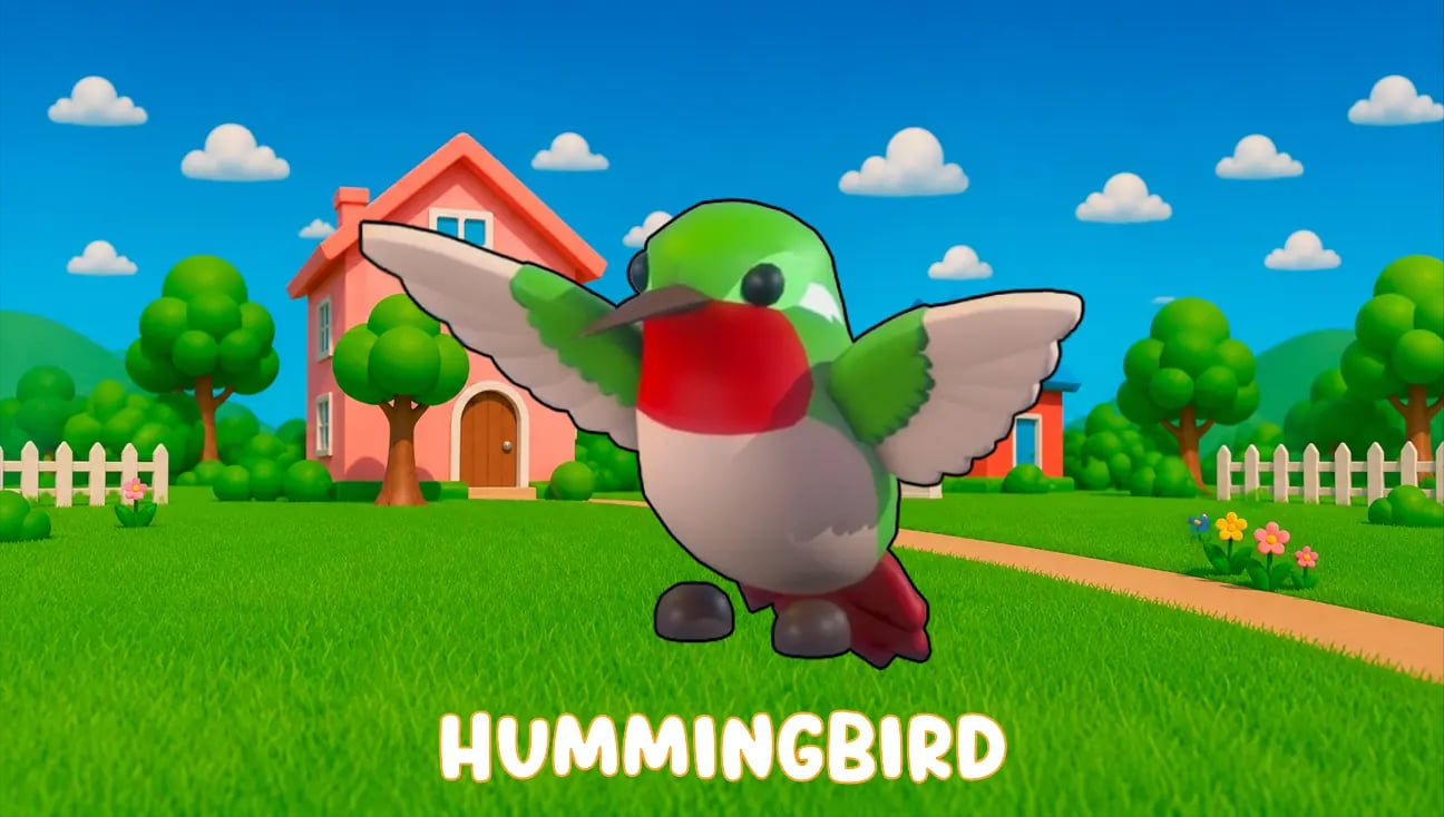 Hummingbird artwork