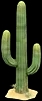 Cactus variant