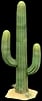 Cactus variant
