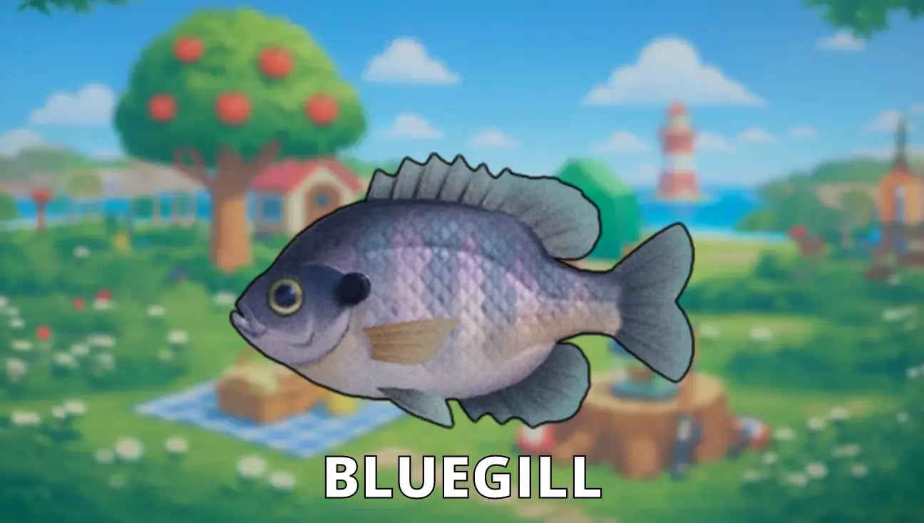 Bluegill artwork