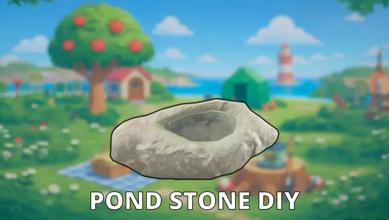 Pond Stone DIY artwork