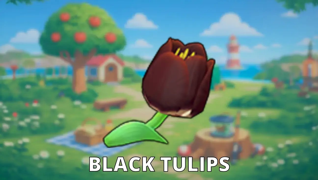 Black Tulips artwork