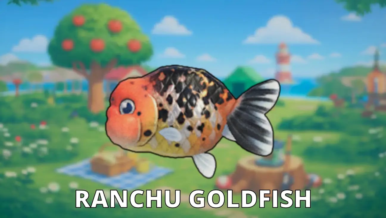 Ranchu Goldfish artwork