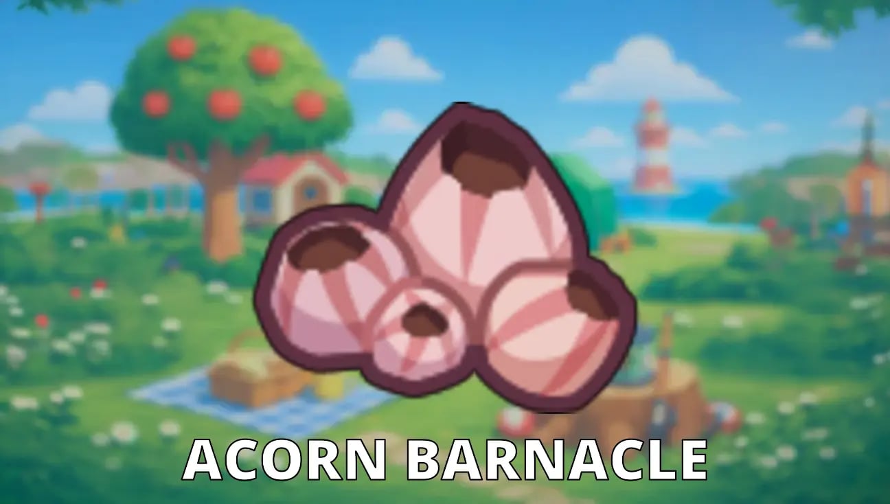 Acorn Barnacle artwork