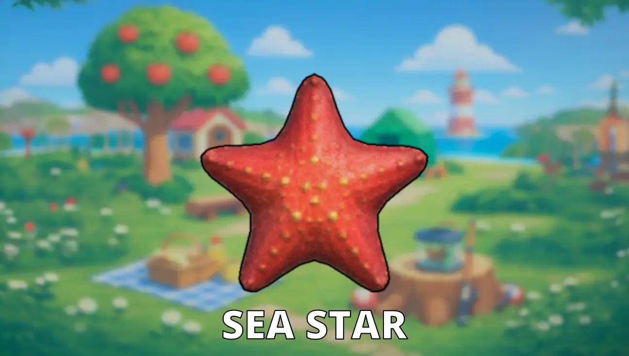 Sea Star artwork