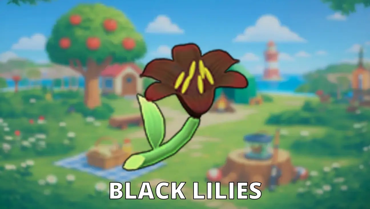Black Lilies artwork