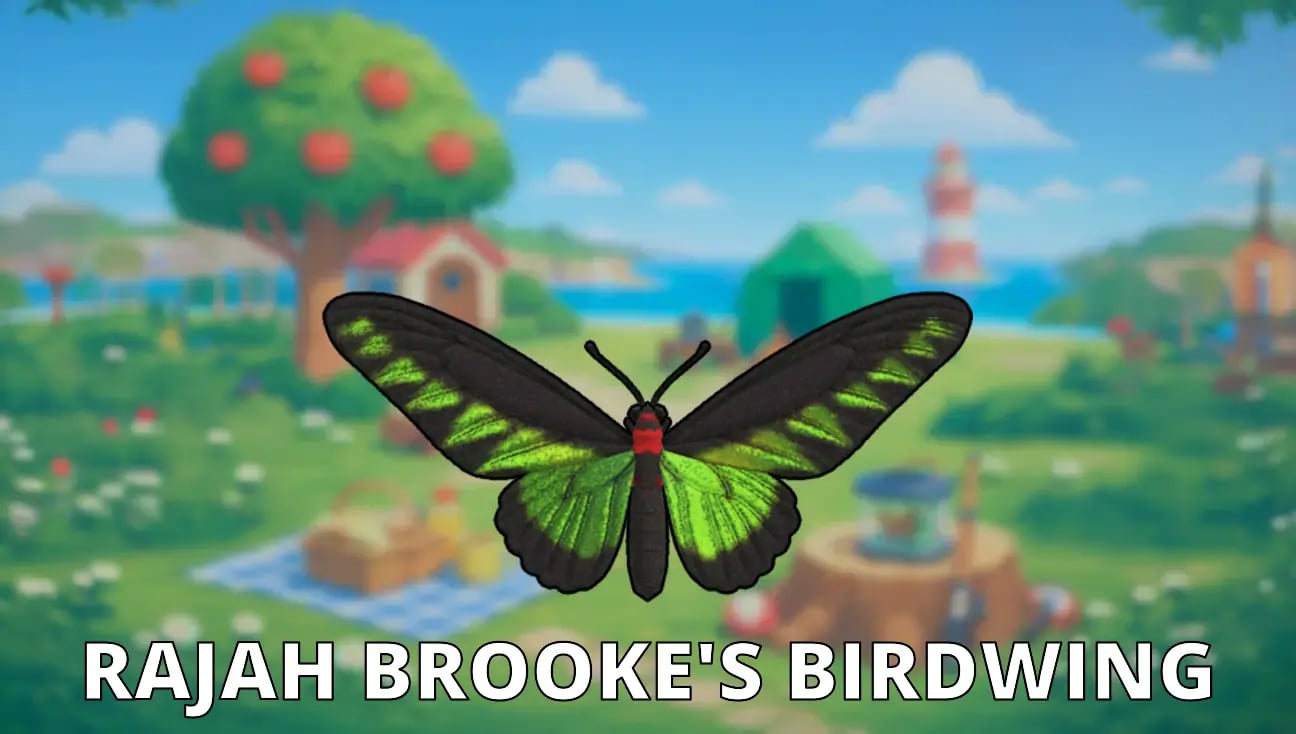 Rajah Brooke's Birdwing artwork