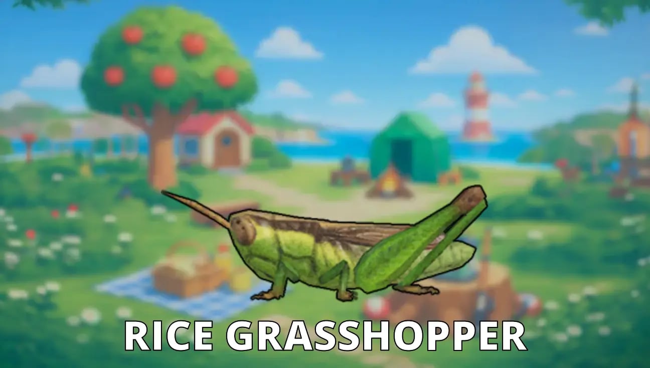 Rice Grasshopper artwork