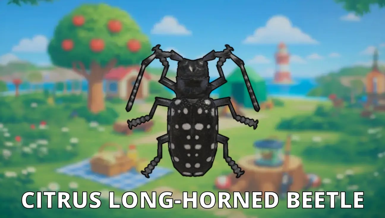 Citrus Long-Horned Beetle artwork