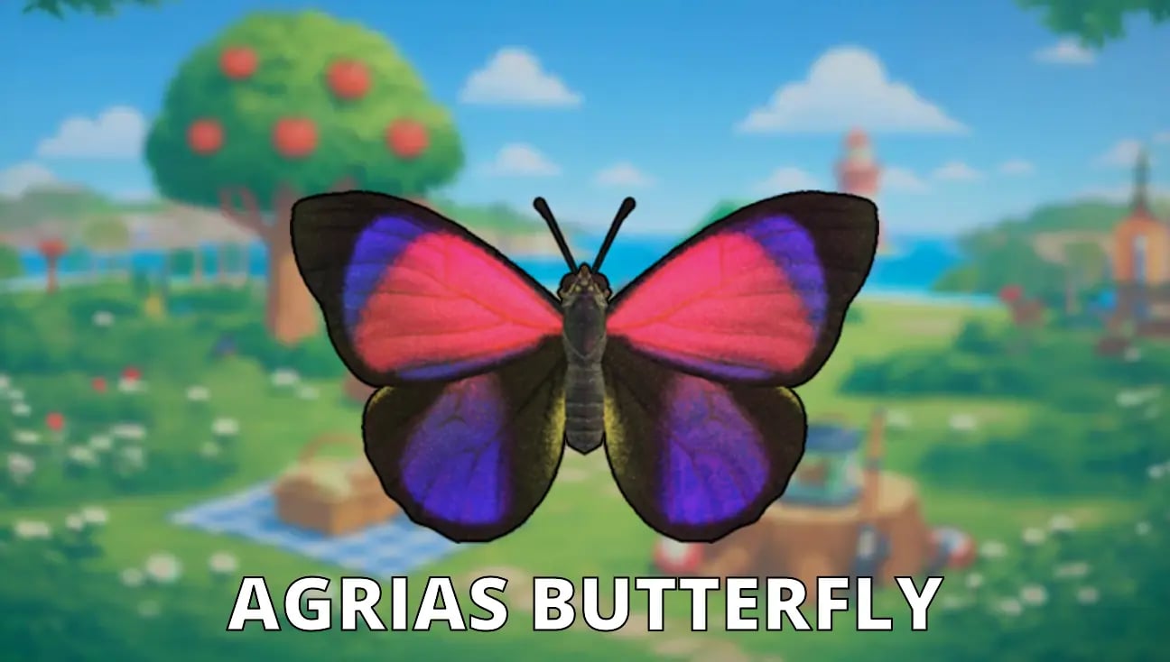 Agrias Butterfly artwork