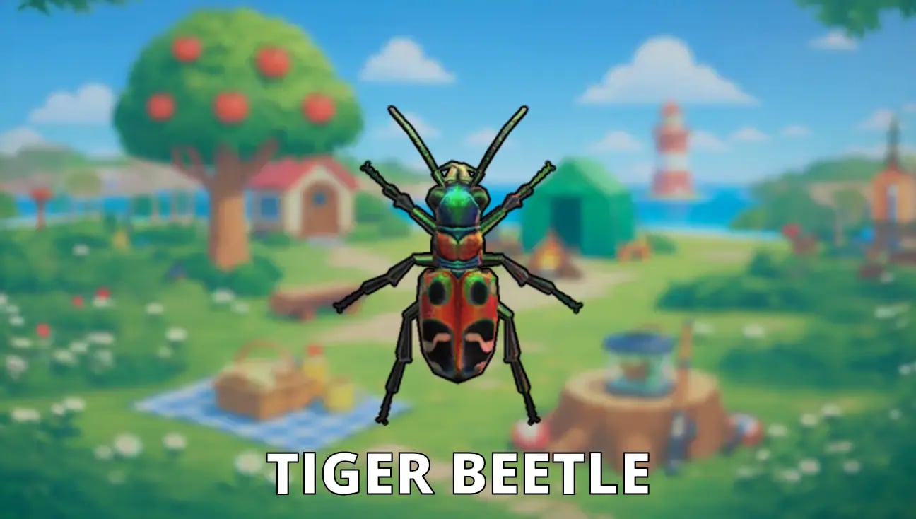 Tiger Beetle artwork