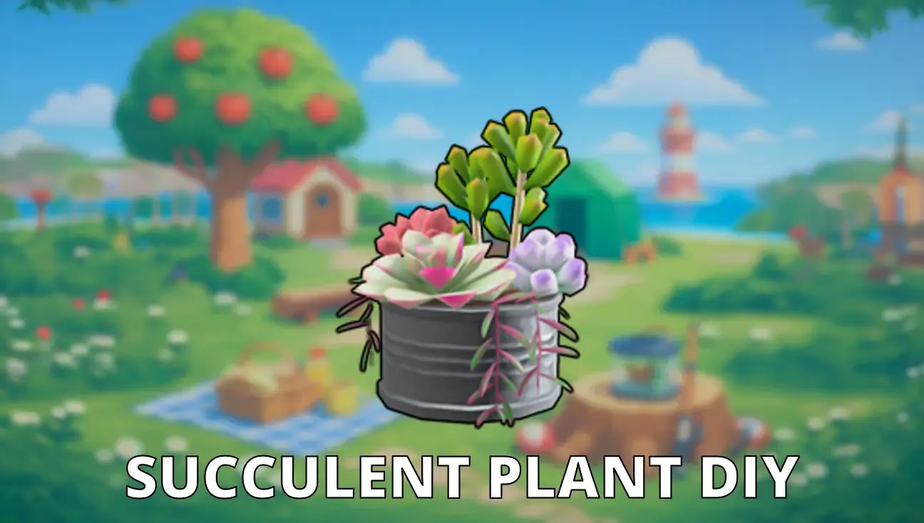 Succulent Plant DIY artwork
