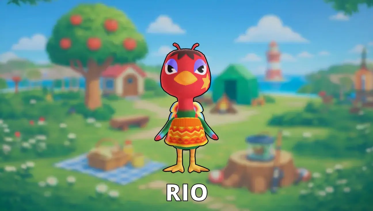 Rio artwork