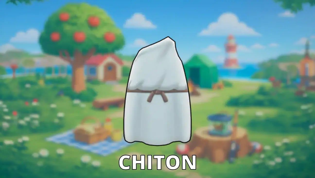 Chiton artwork