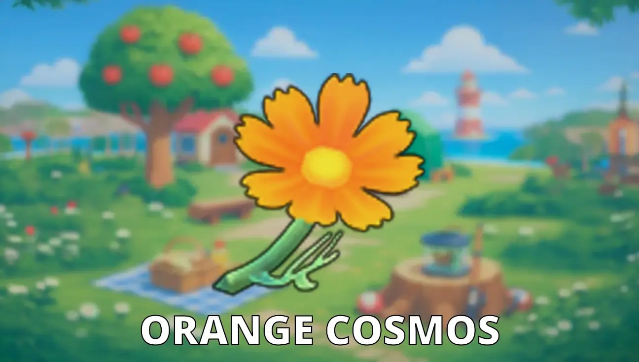 Orange Cosmos artwork