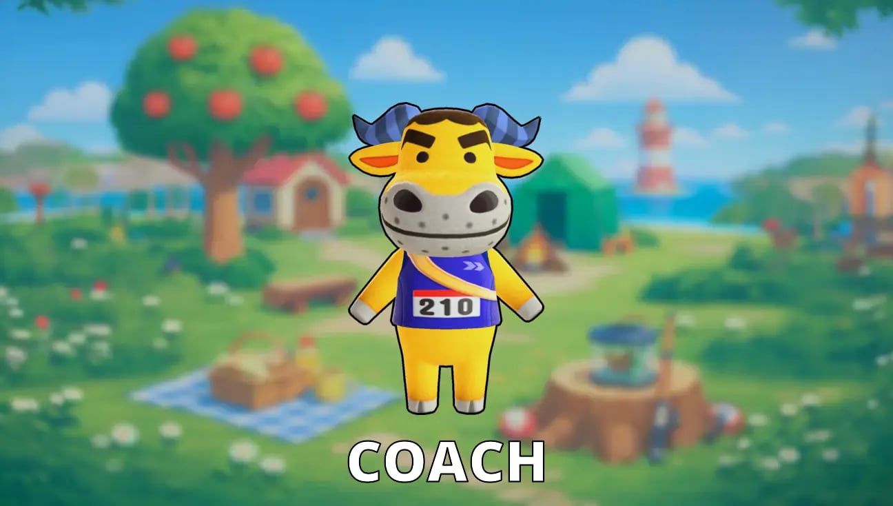 Coach artwork