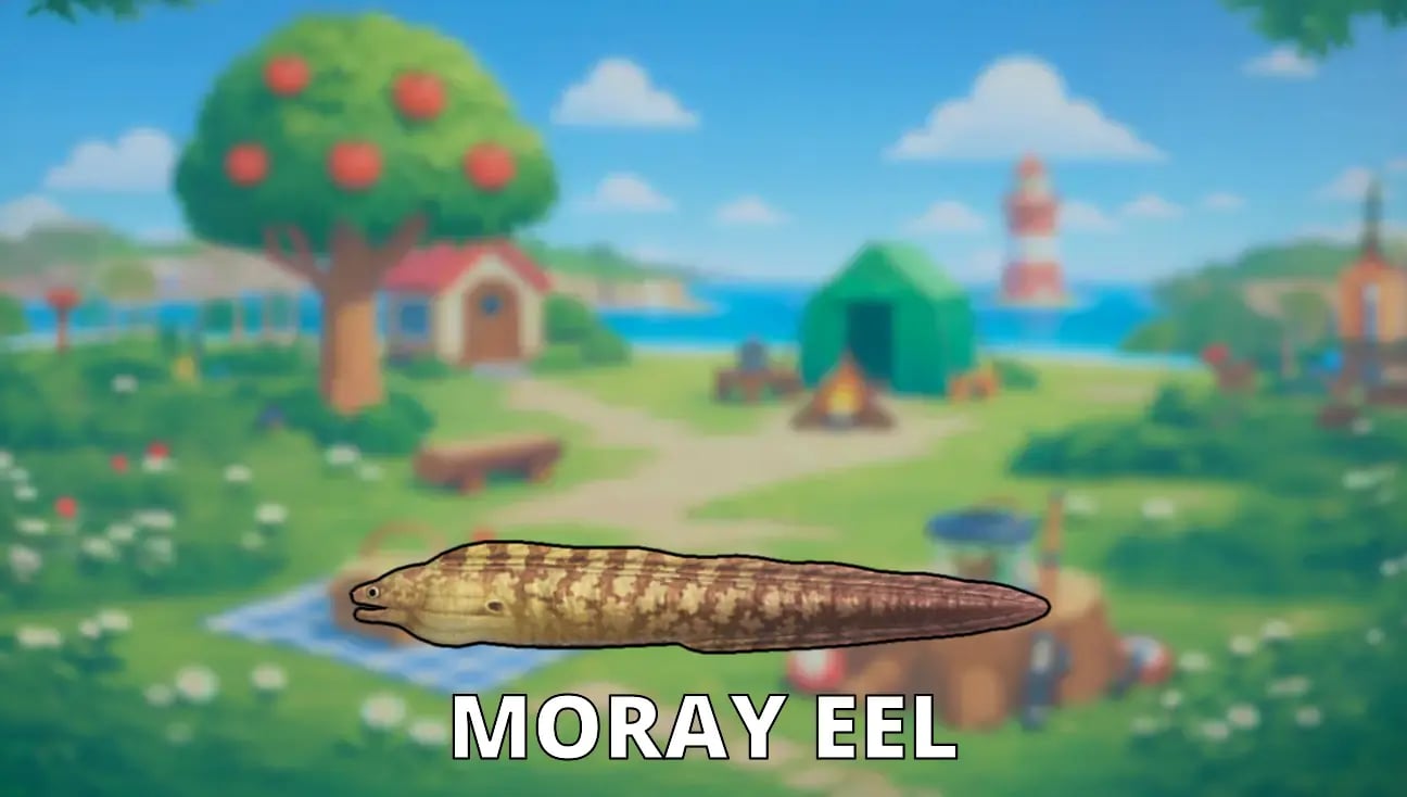 Moray Eel artwork