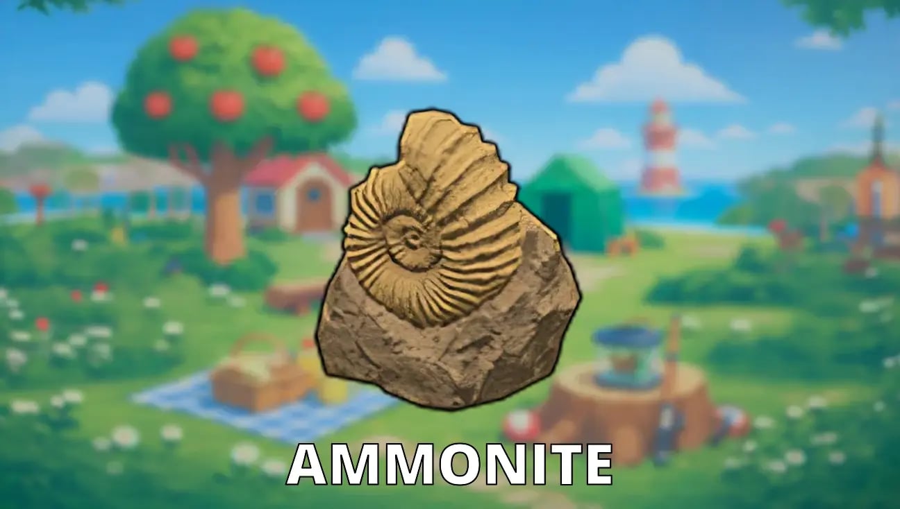Ammonite artwork