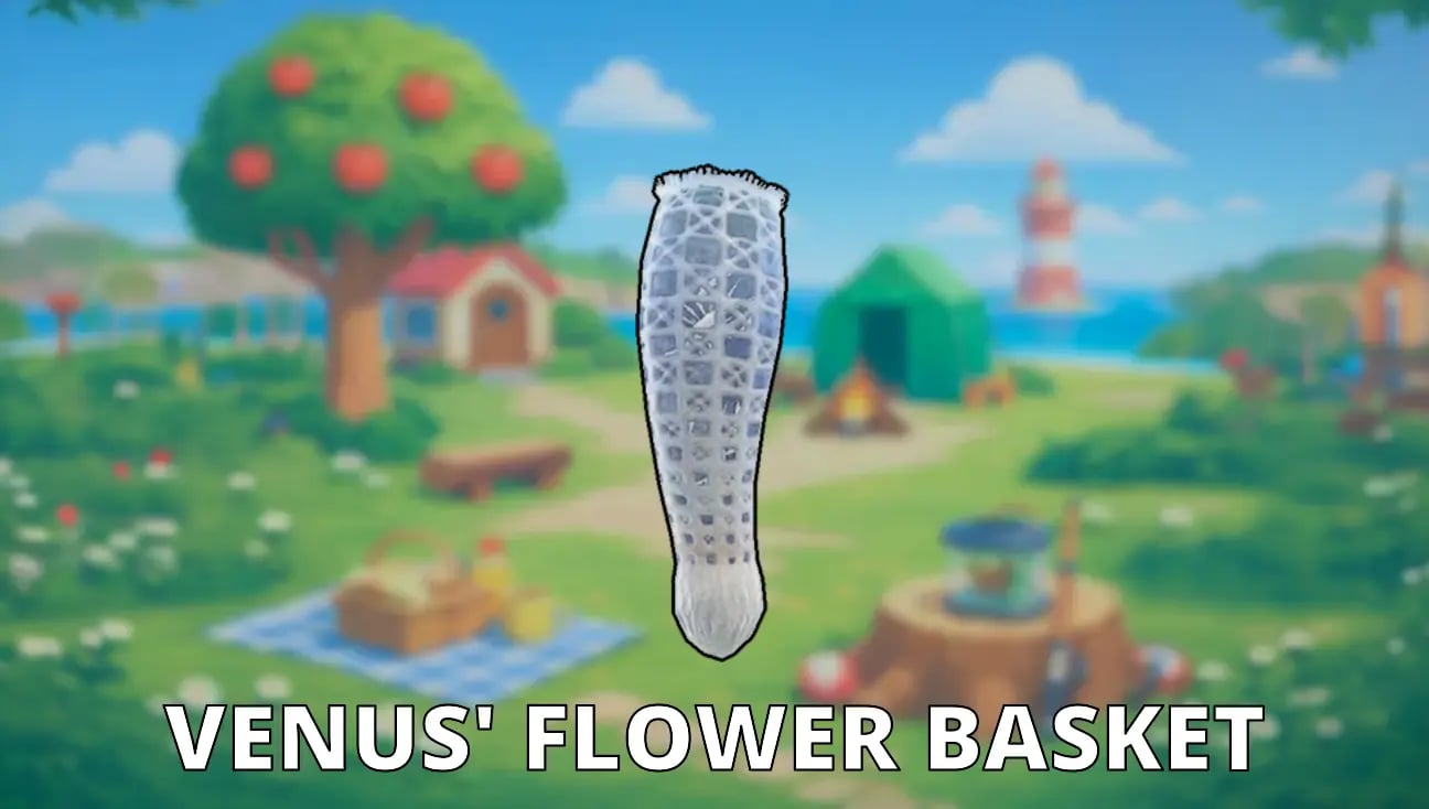 Venus' Flower Basket artwork