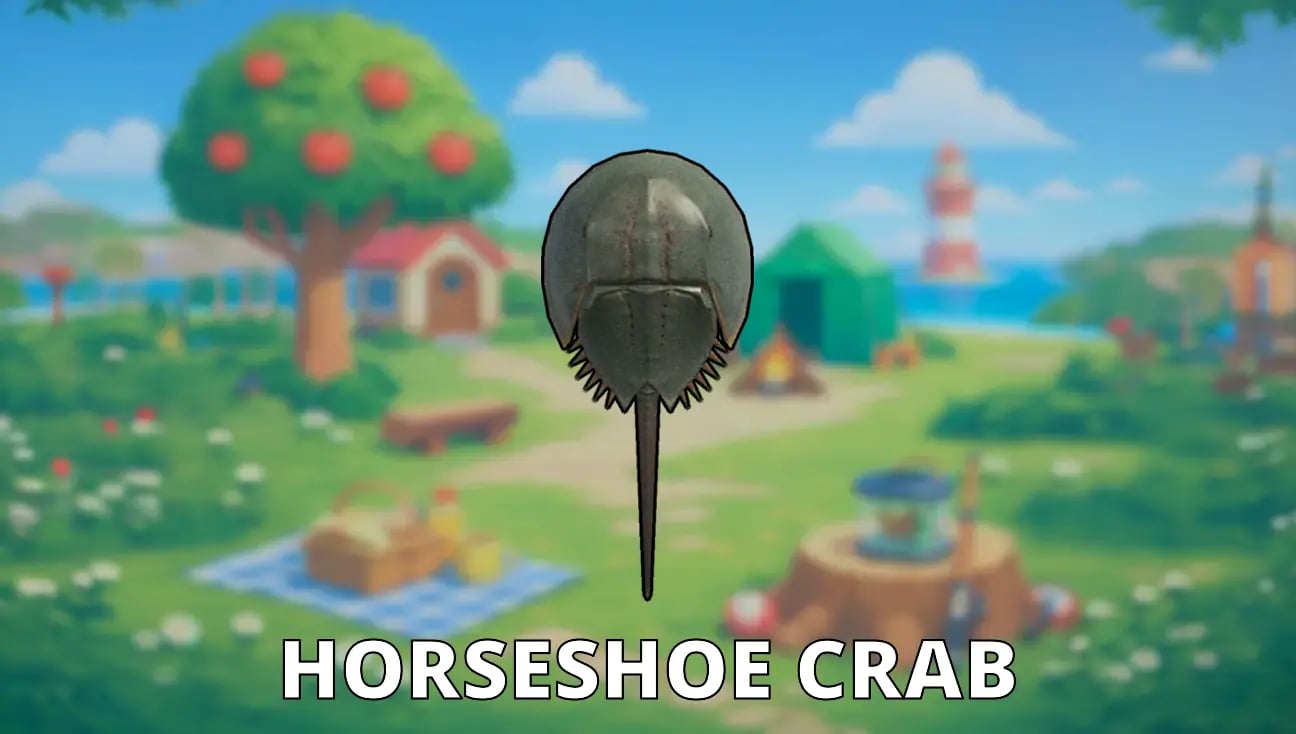 Horseshoe Crab artwork