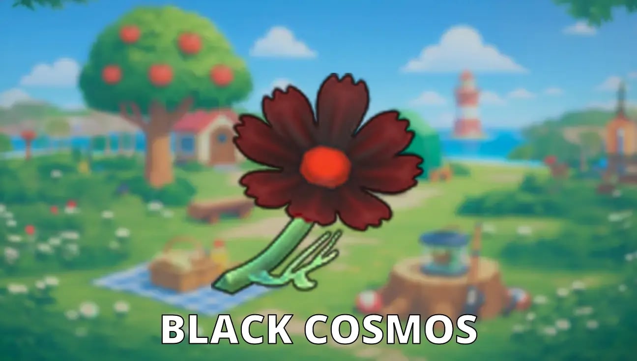 Black Cosmos artwork