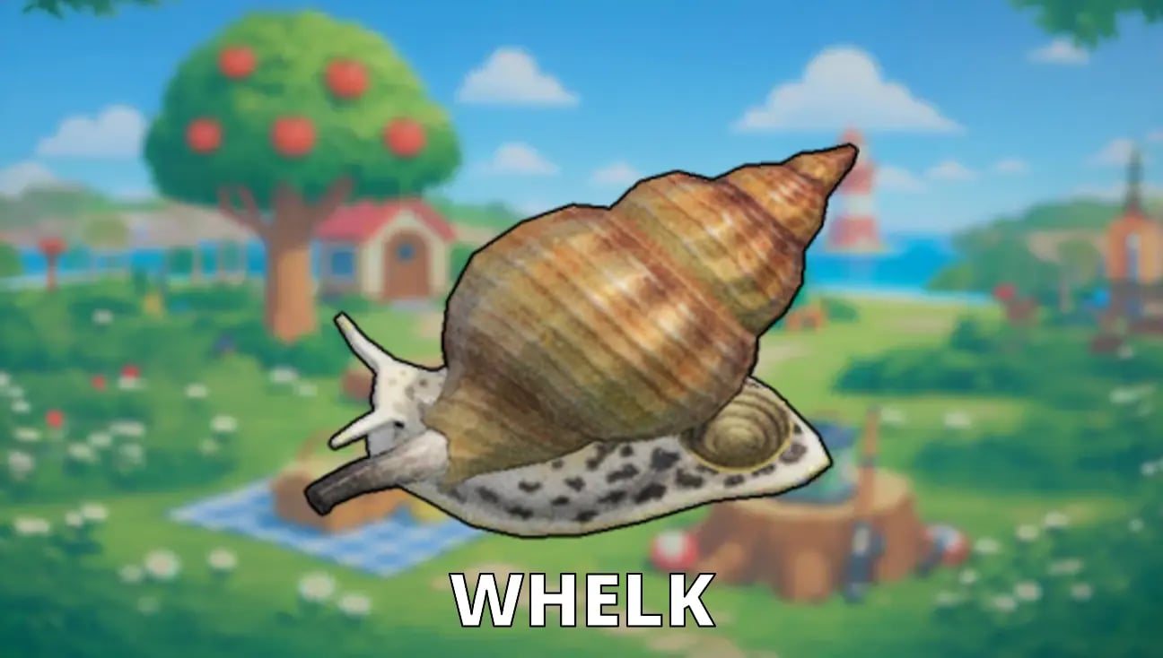 Whelk artwork