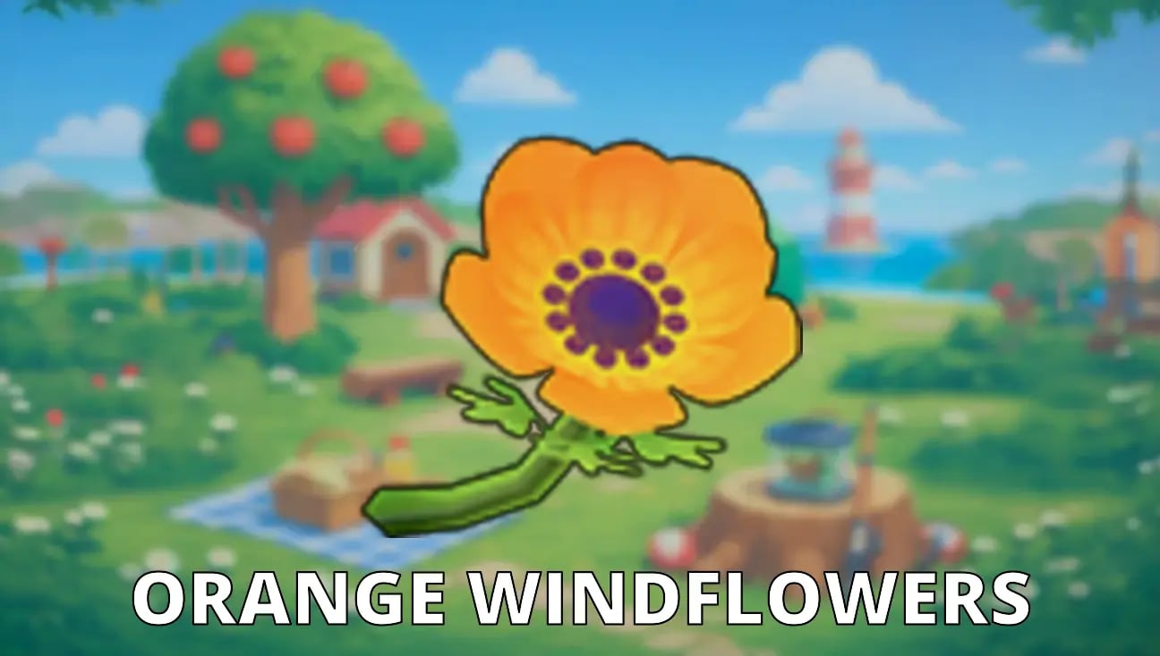 Orange Windflowers artwork