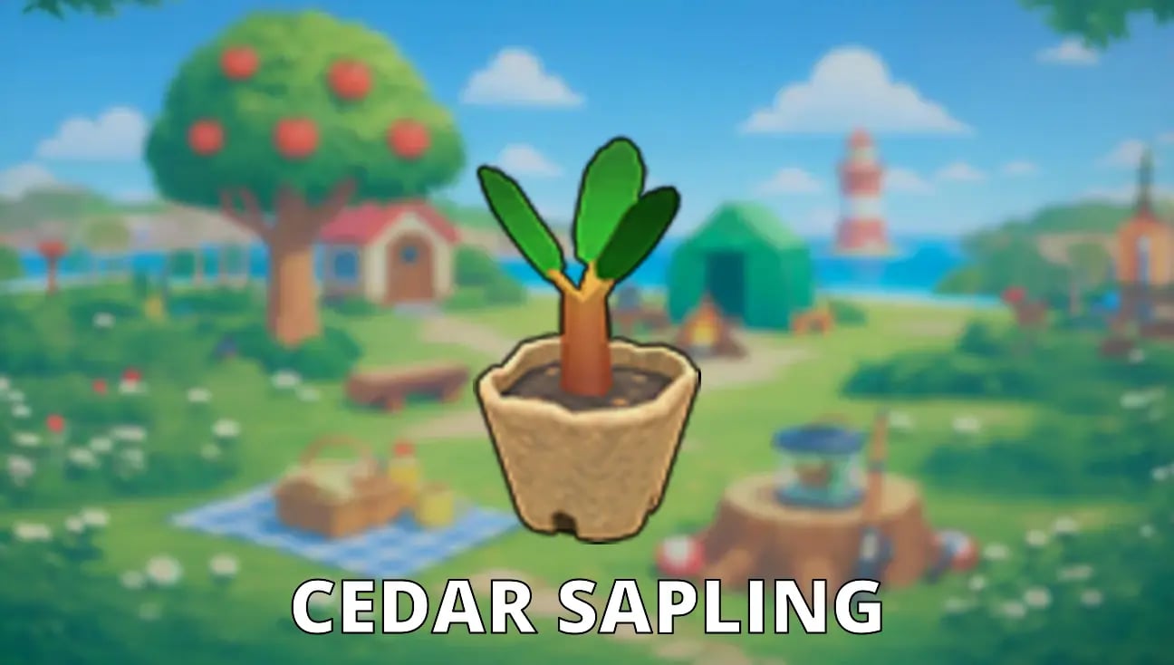 Cedar Sapling artwork