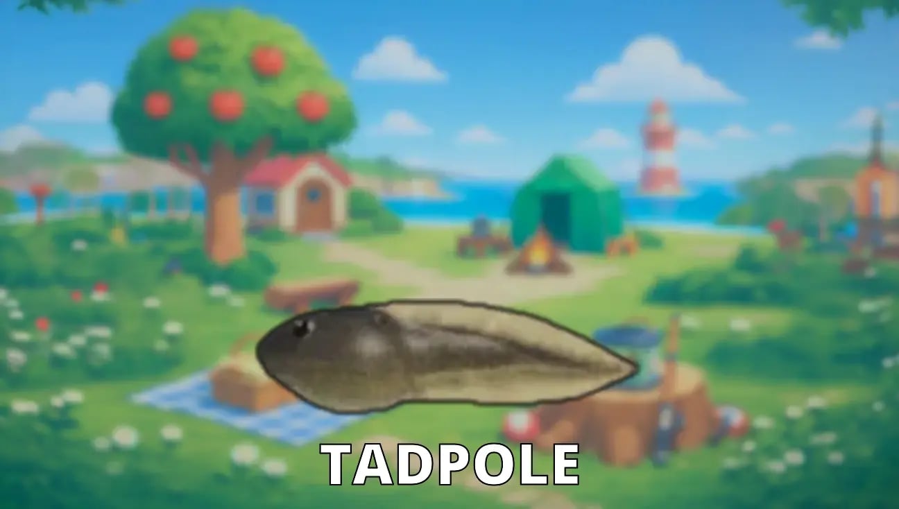 Tadpole artwork