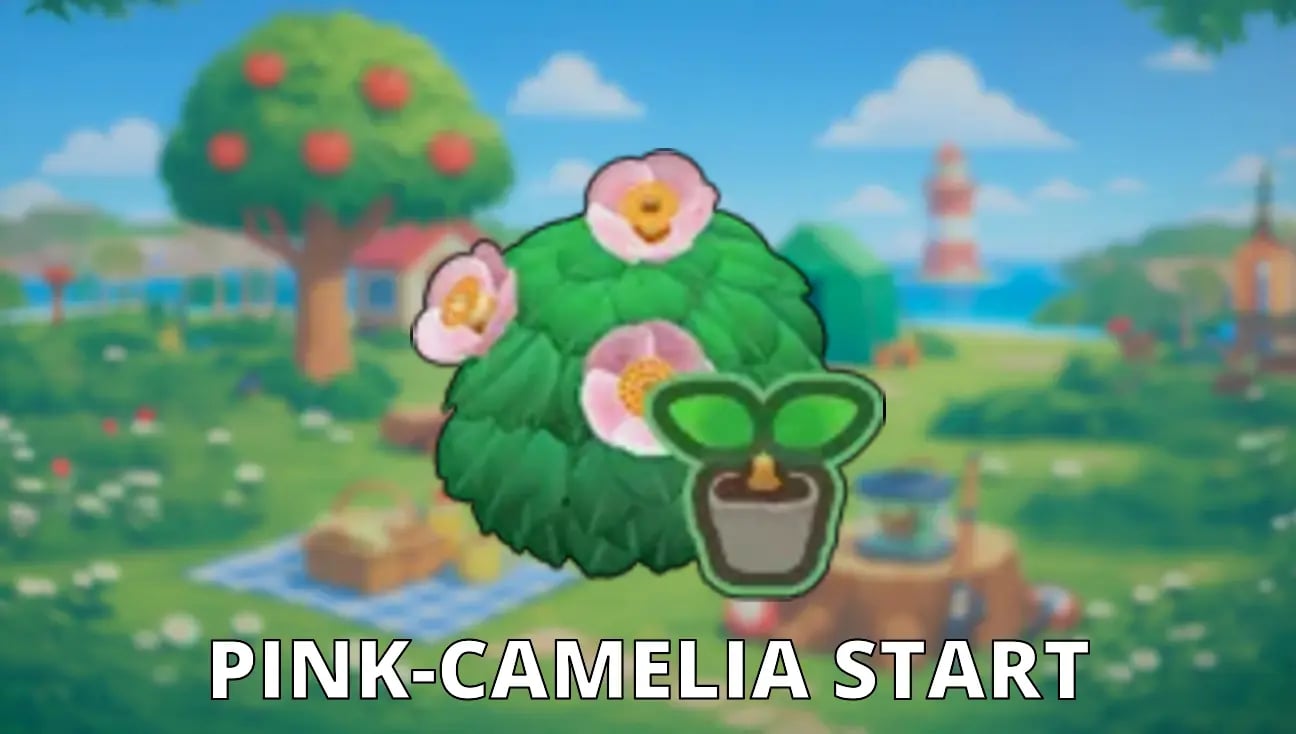 Pink-Camelia Start artwork