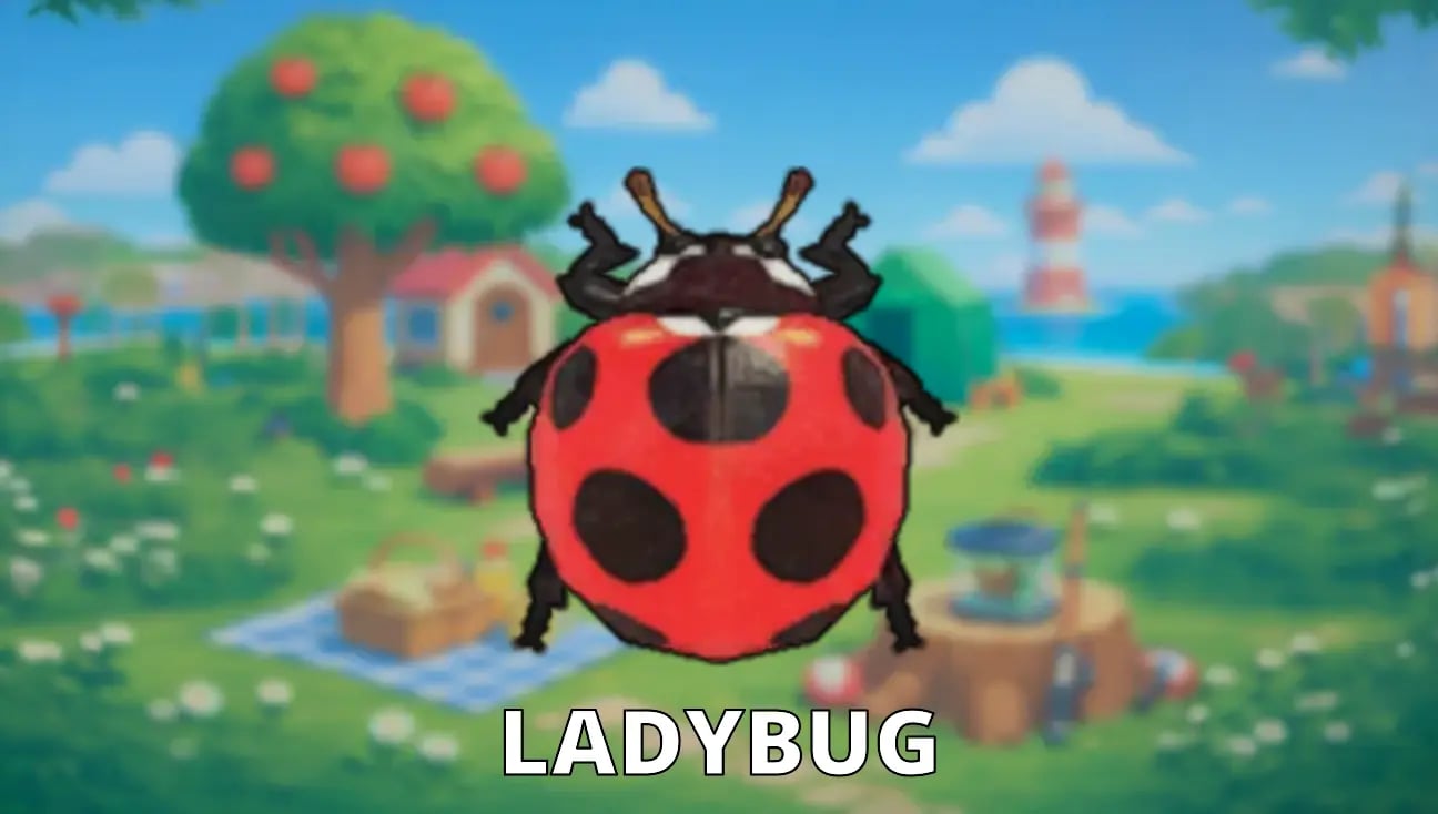 Ladybug artwork