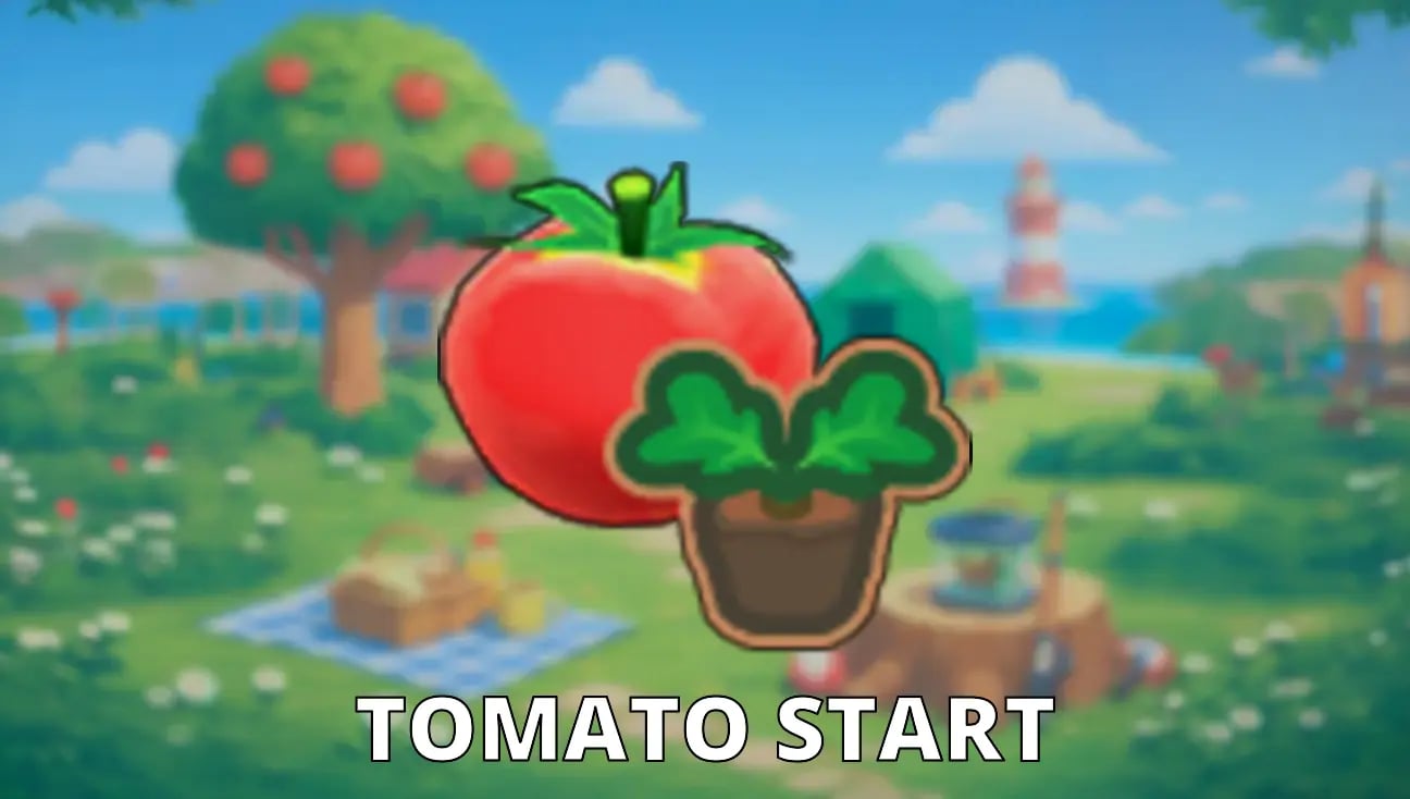 Tomato Start artwork