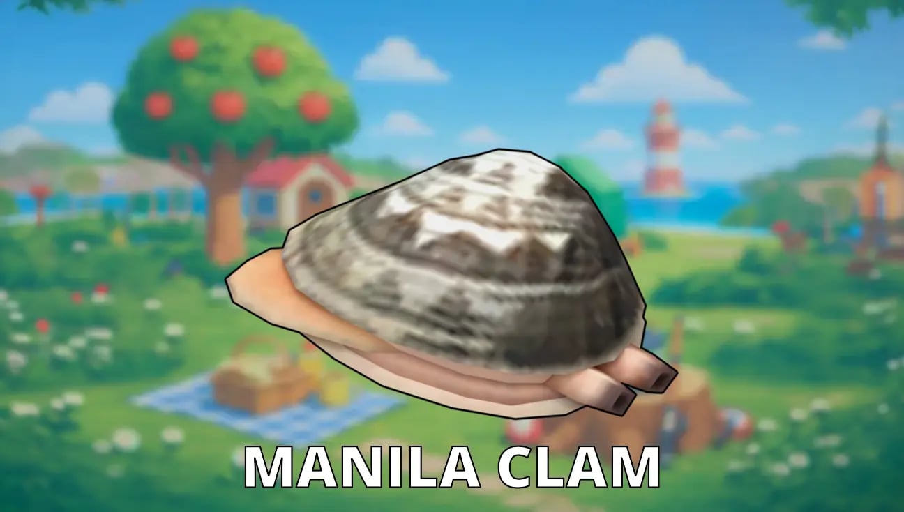 Manila Clam artwork