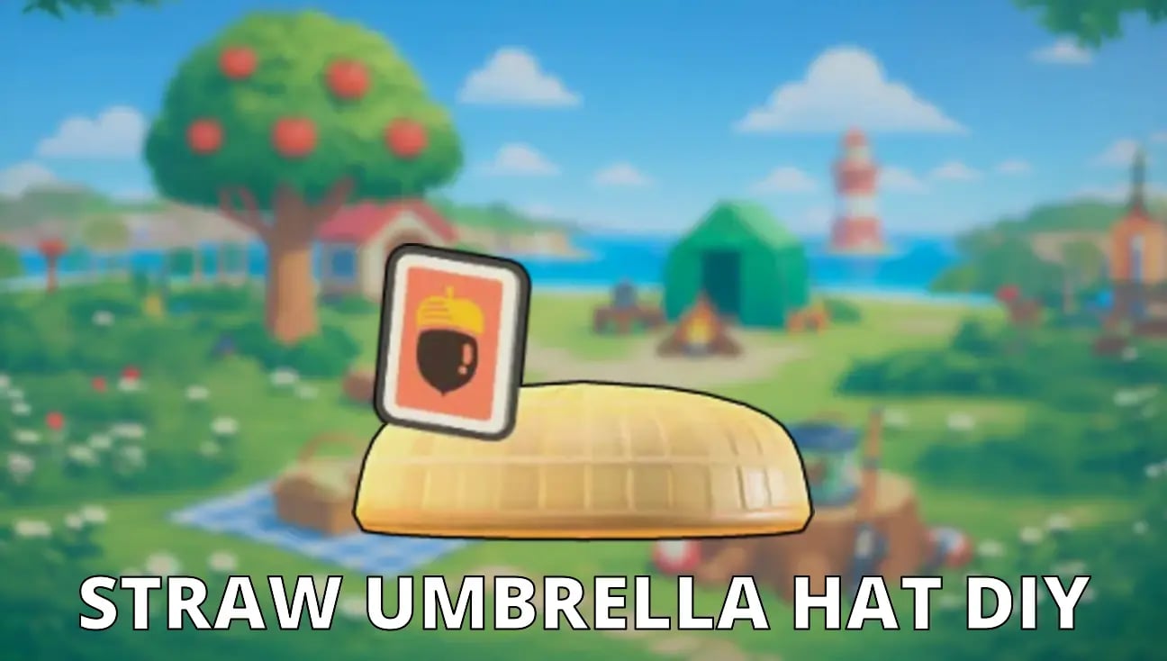 Straw Umbrella Hat DIY artwork
