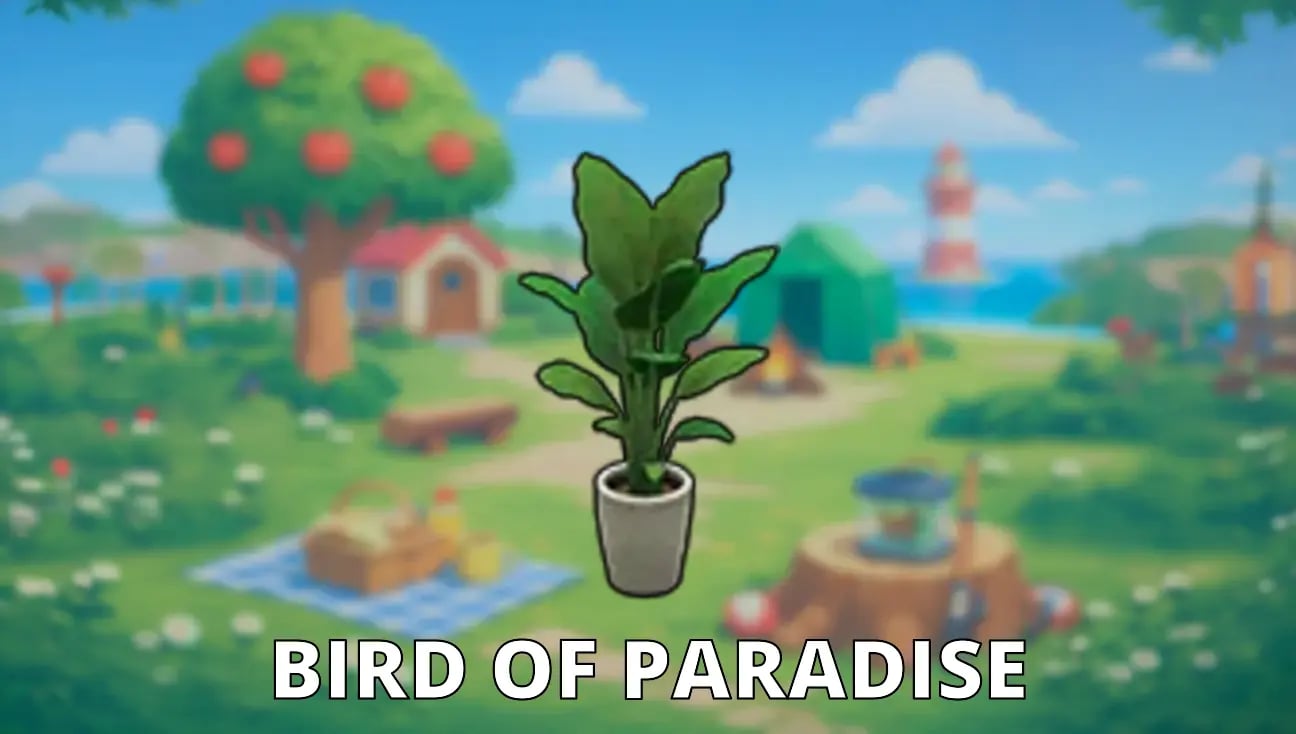 Bird Of Paradise variant