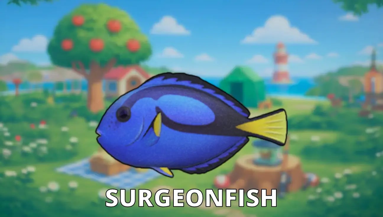 Surgeonfish artwork