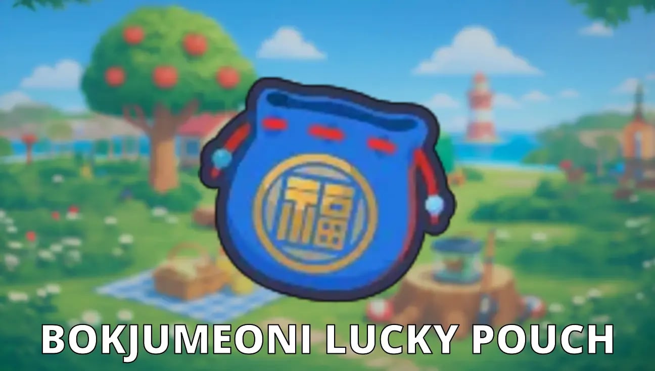 Bokjumeoni Lucky Pouch artwork