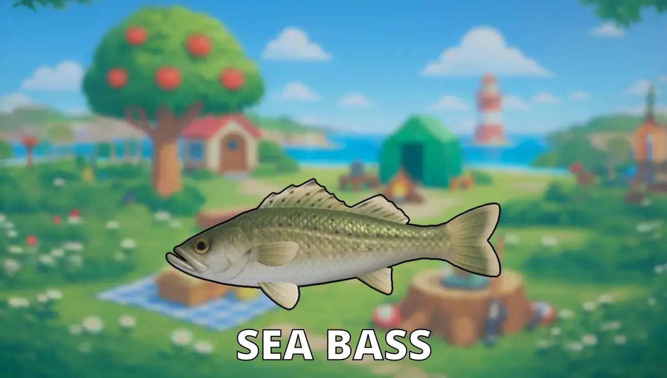 Sea Bass artwork