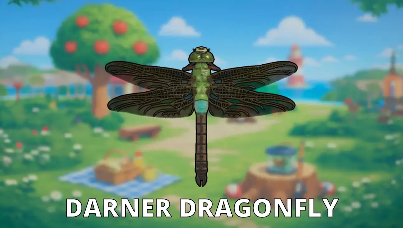 Darner Dragonfly artwork