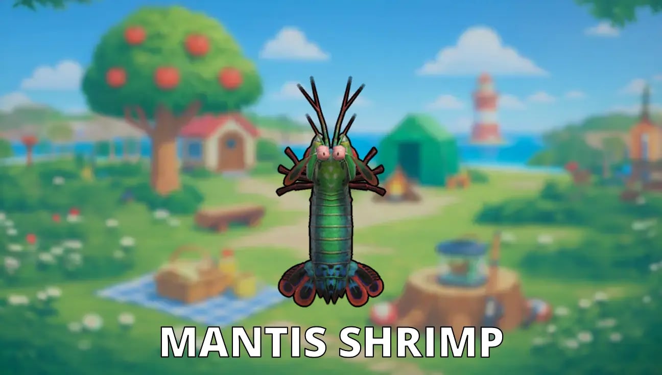 Mantis Shrimp artwork