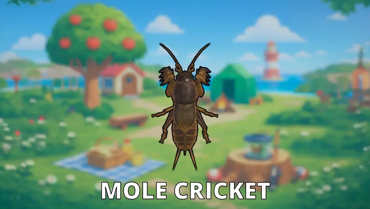 Mole Cricket artwork