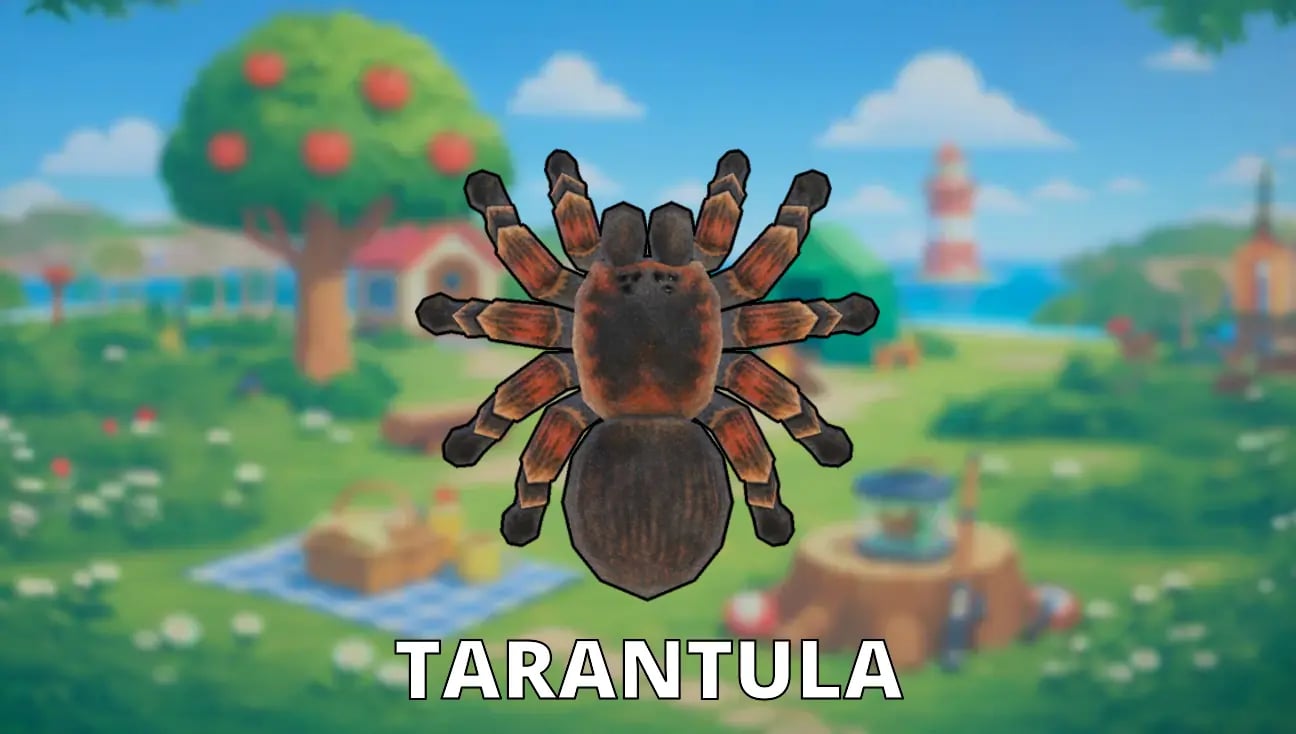 Tarantula artwork