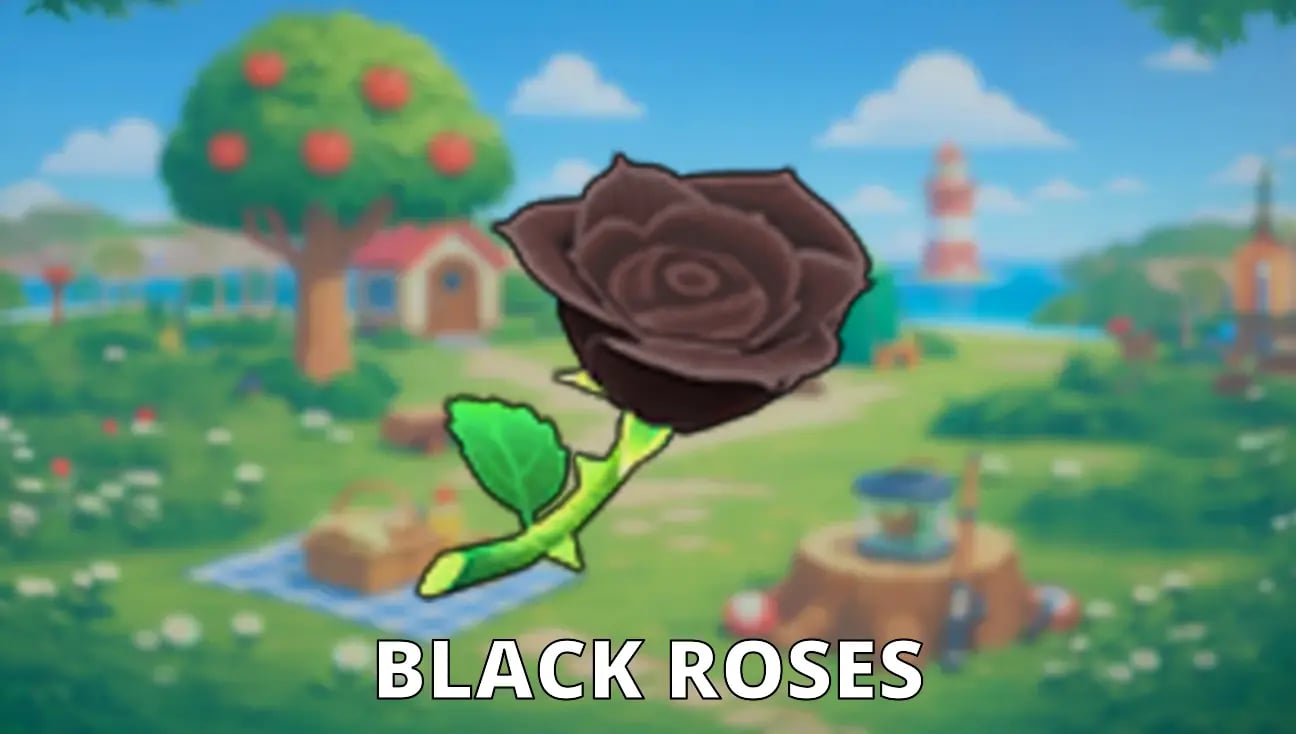 Black Roses artwork