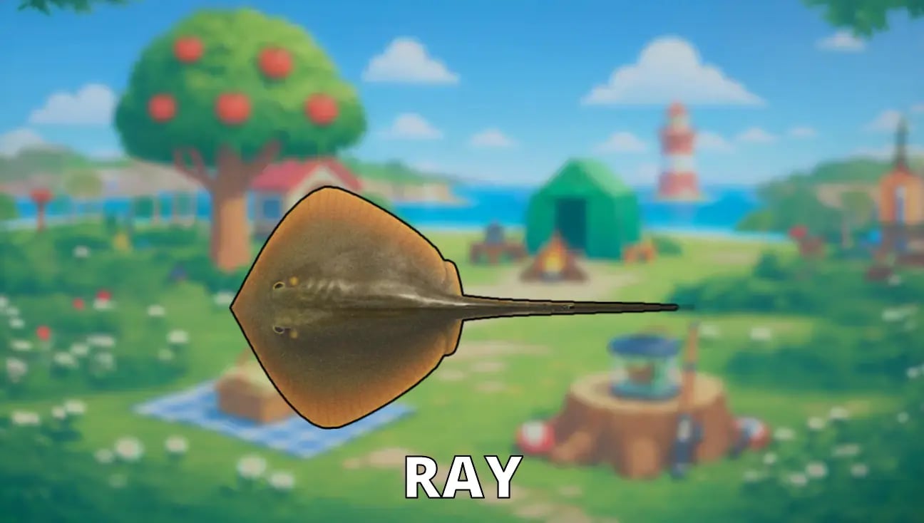 Ray artwork