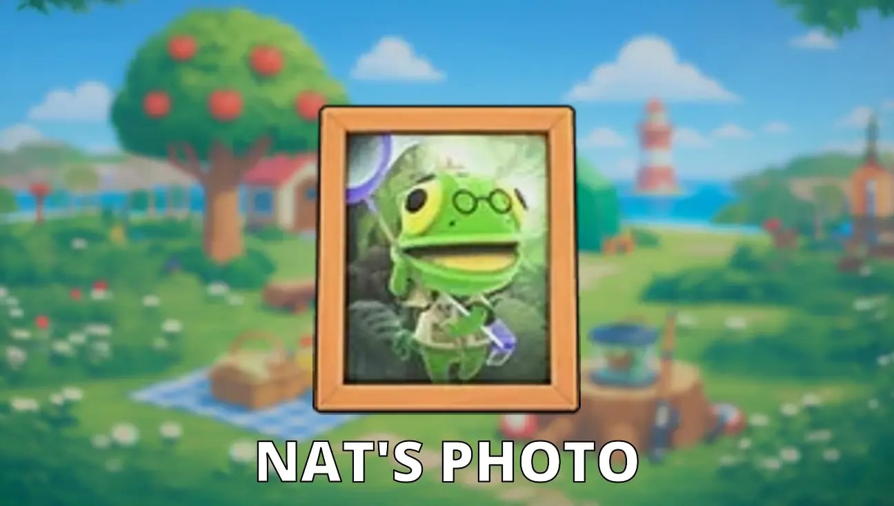 Nat's Photo variant