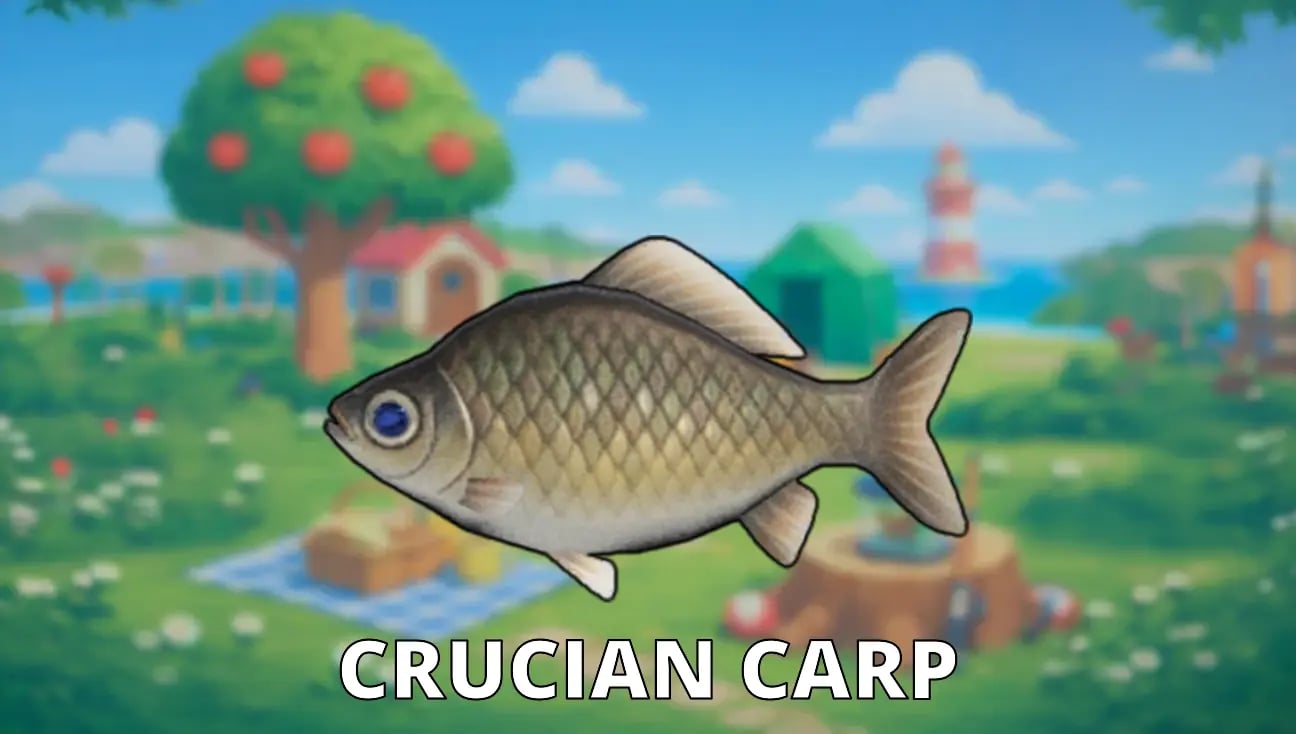 Crucian Carp artwork