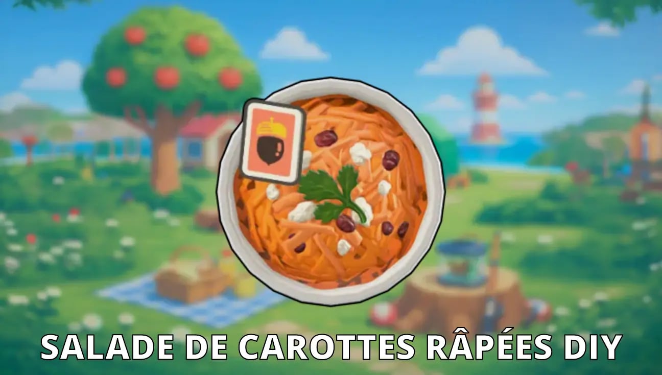 Salade De Carottes Râpées DIY artwork