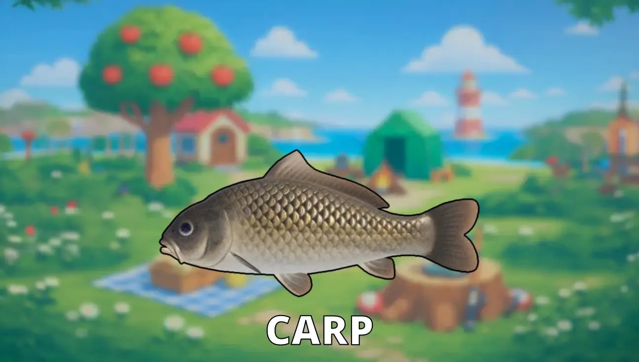 Carp artwork