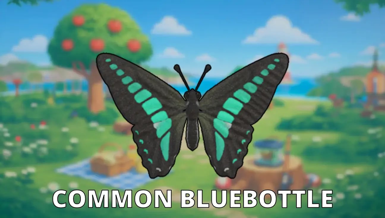 Common Bluebottle artwork