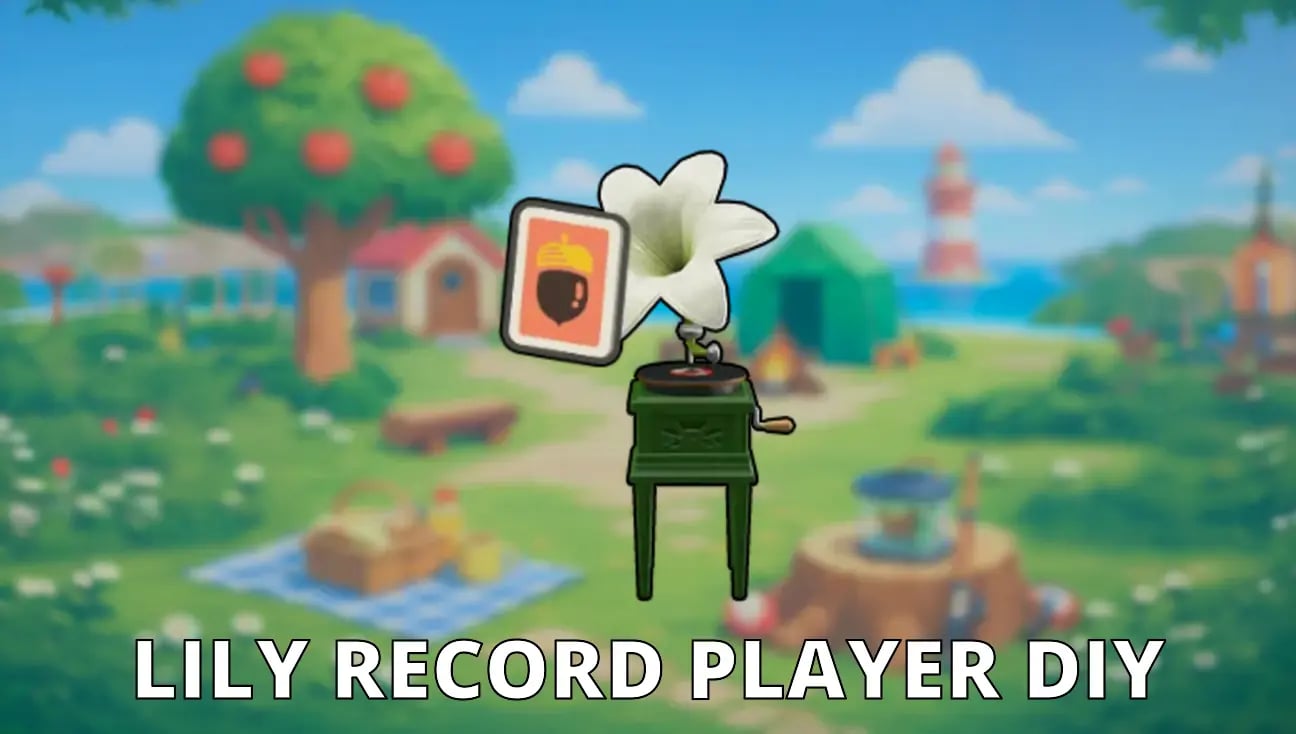 Lily Record Player DIY artwork